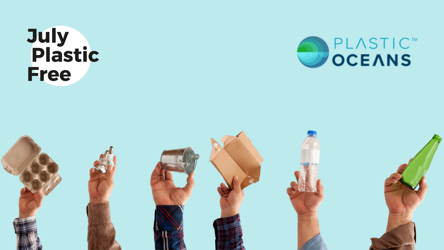 ¿Qué hace Plastic Oceans? Entérate de su gran labor