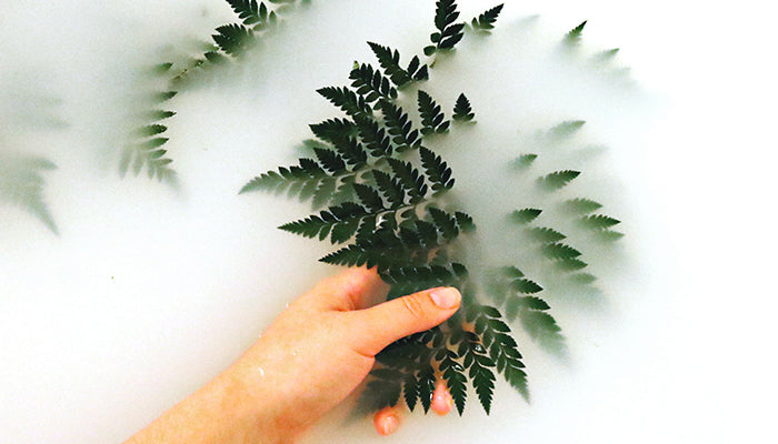 3 Rituales Detox para marzo