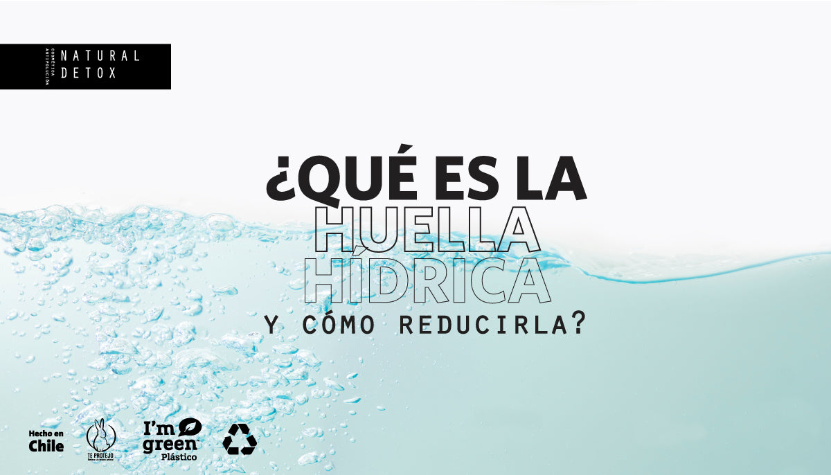 ¿Qué es la Huella Hídrica y cómo reducirla?